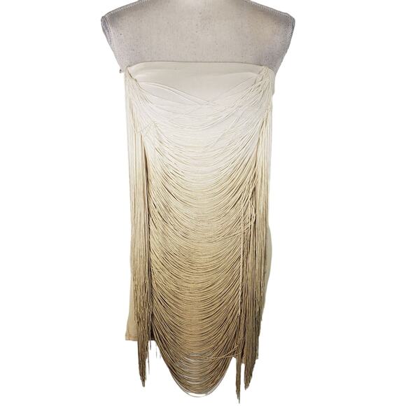 Young Fabulous & Broke Ombre Fringe Stretch Strapless Bodycon Cocktail Dress XS